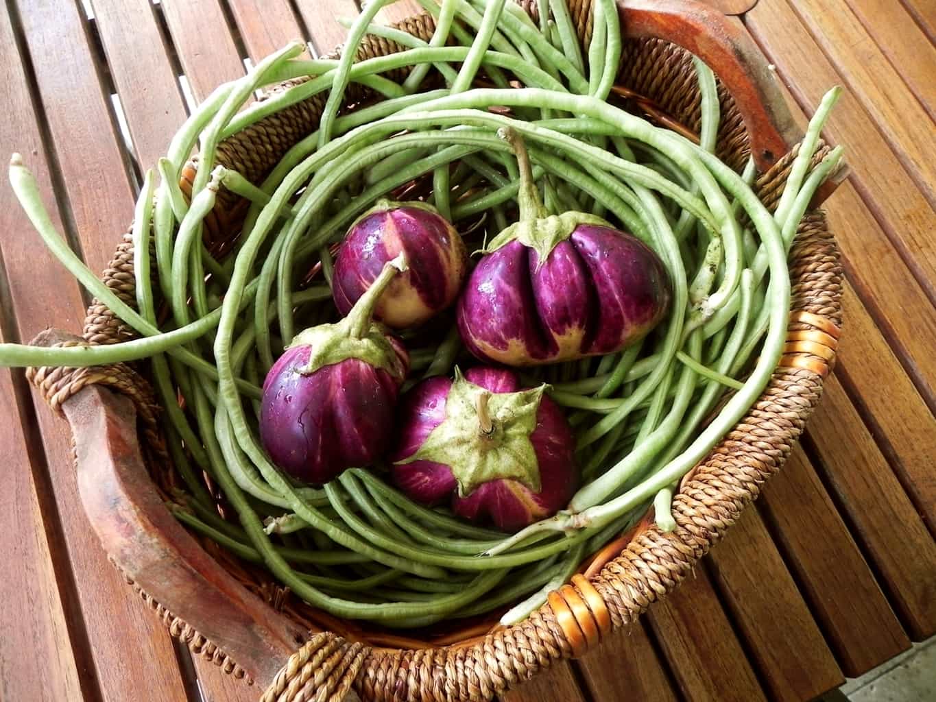 florida asian long beans eggplant