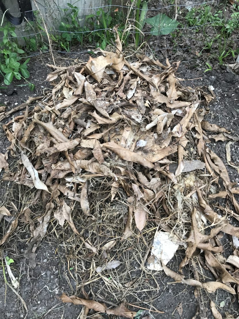 Compost It! • South Florida Gardening