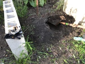 Turning the compost