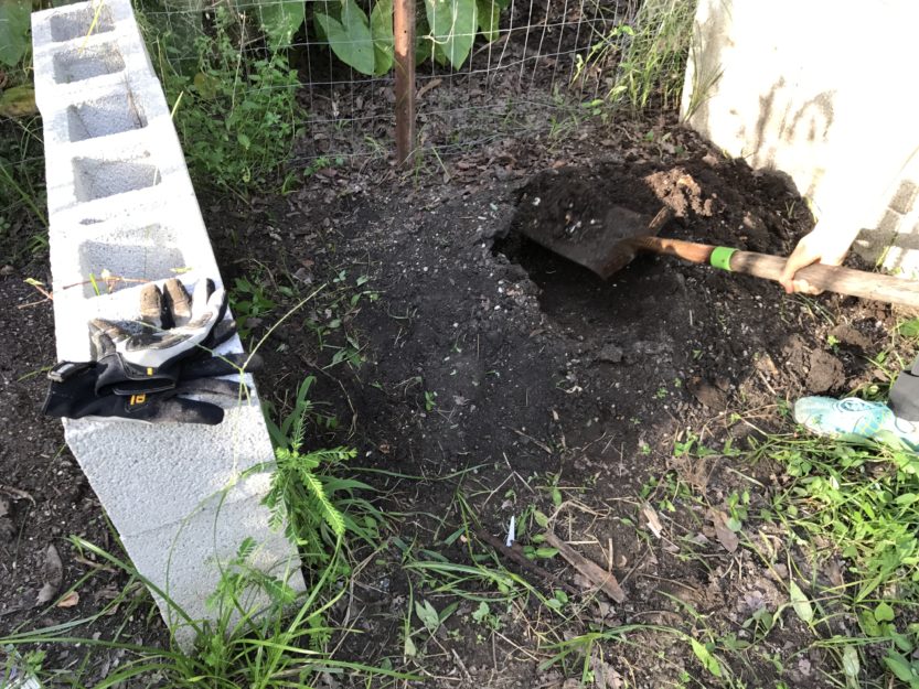 Compost It! • South Florida Gardening