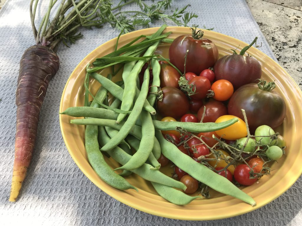 Fresh pole beans, tomatoes and a purple carrot