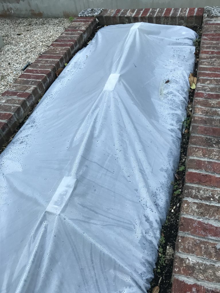 Garden bed with plastic cover