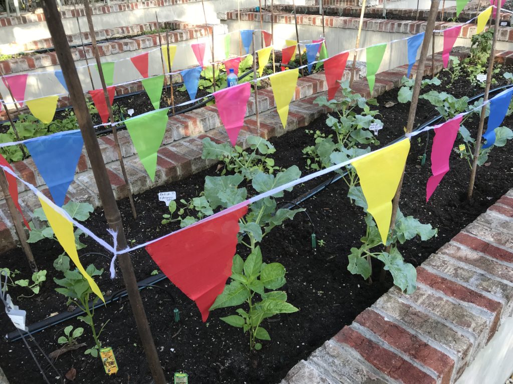 colored flags surrounding planted beds
