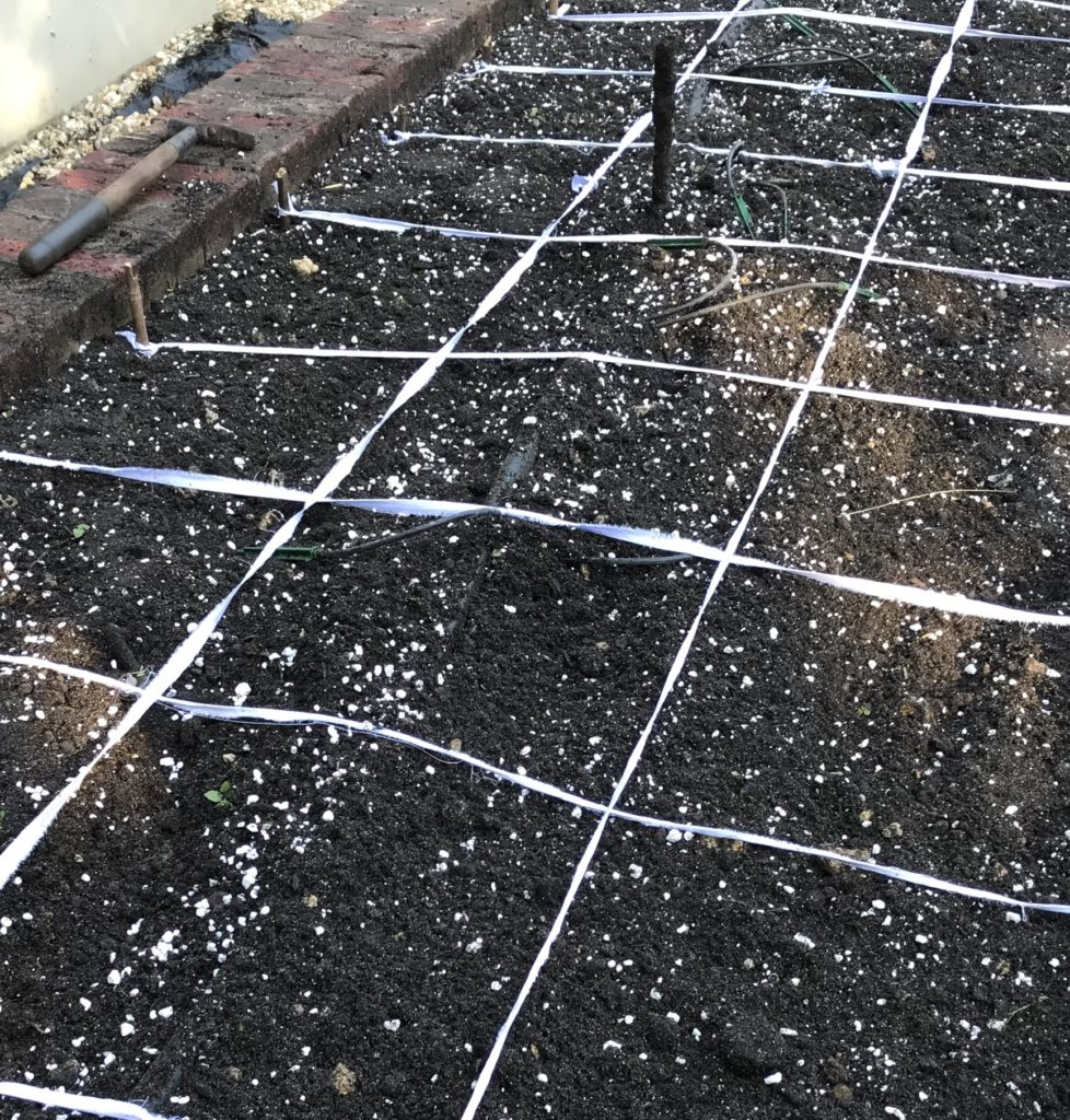 Raised bed separated into square foot sections 