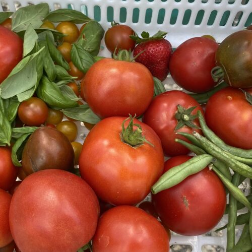 SUMMER CROPS CENTRAL FLORIDA visual data 4