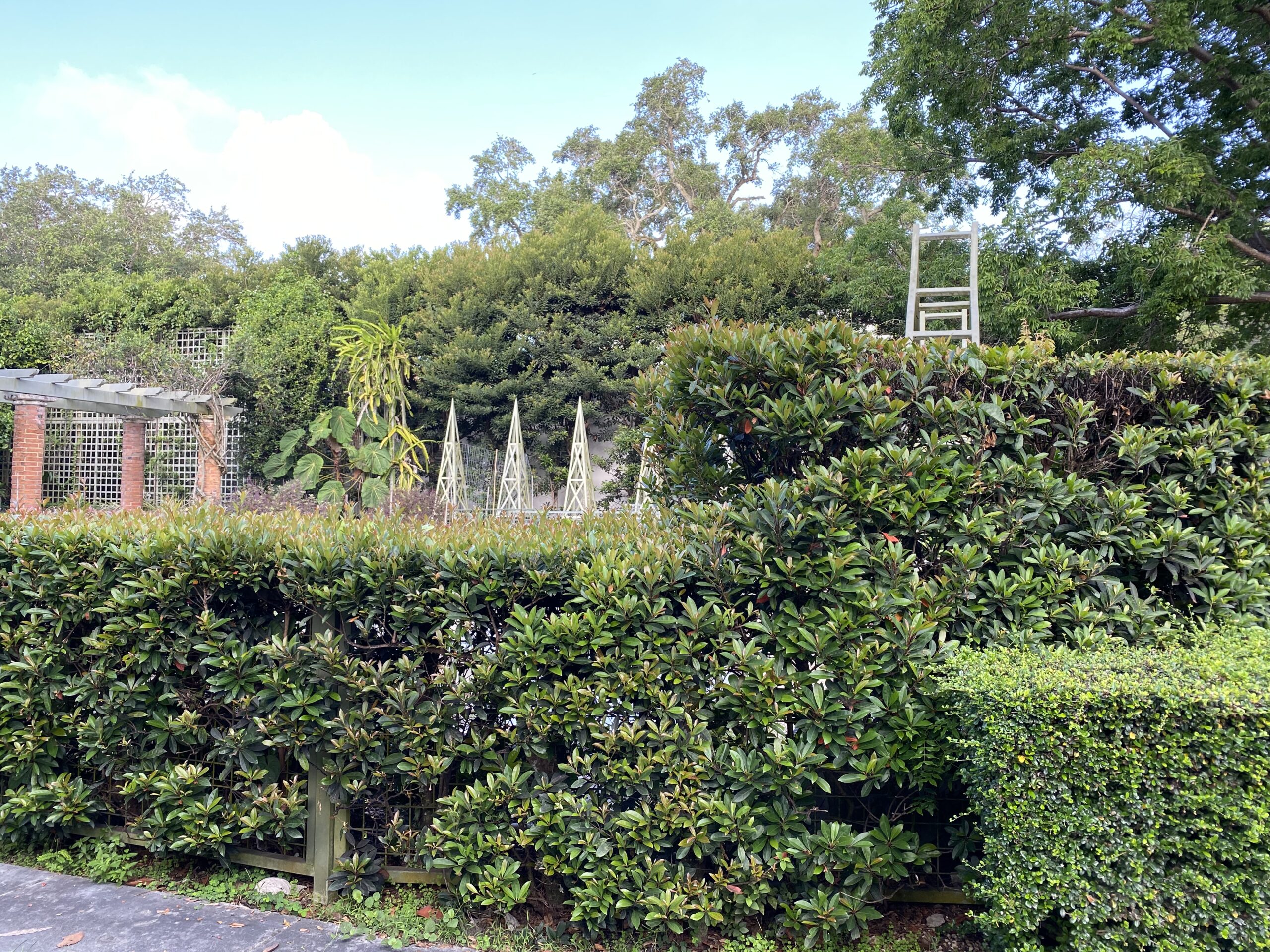 Hedges of various sizes surrounding the garden