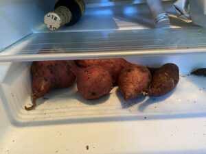Sweet potatoes in a wine cooler