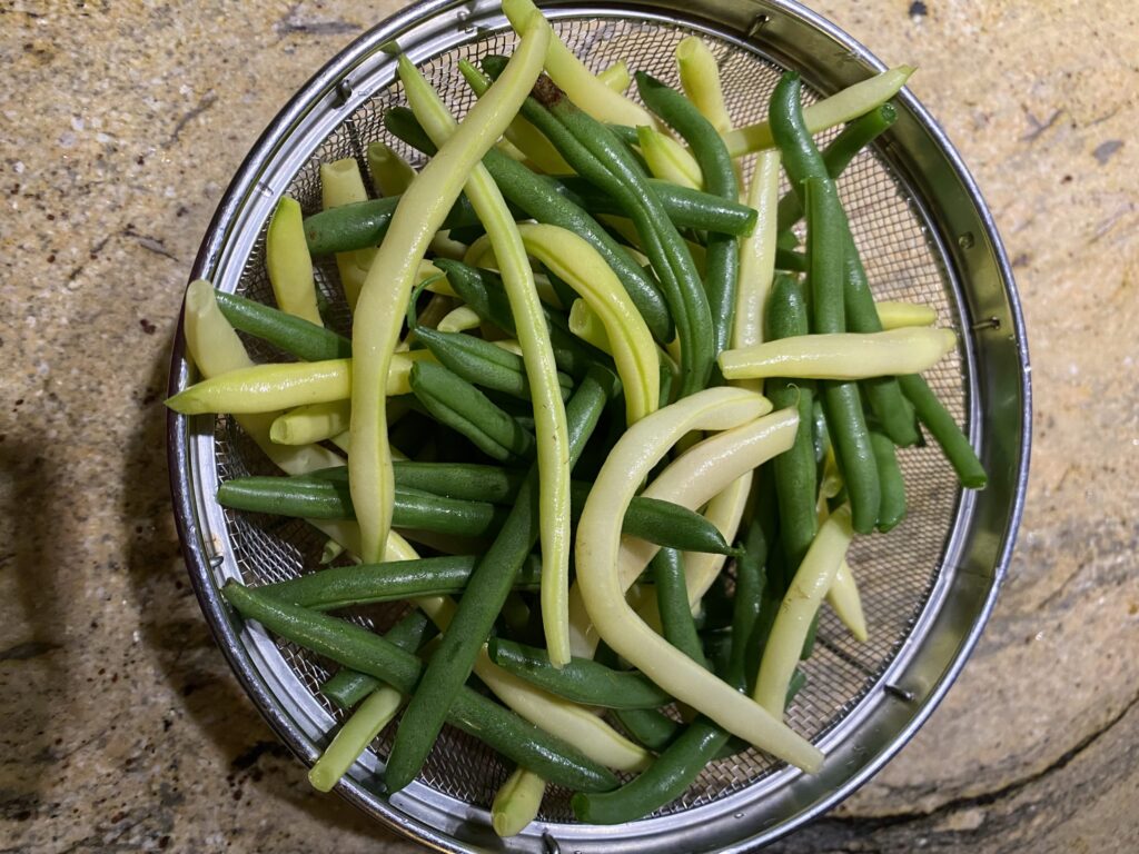 Green and yellow bush beans